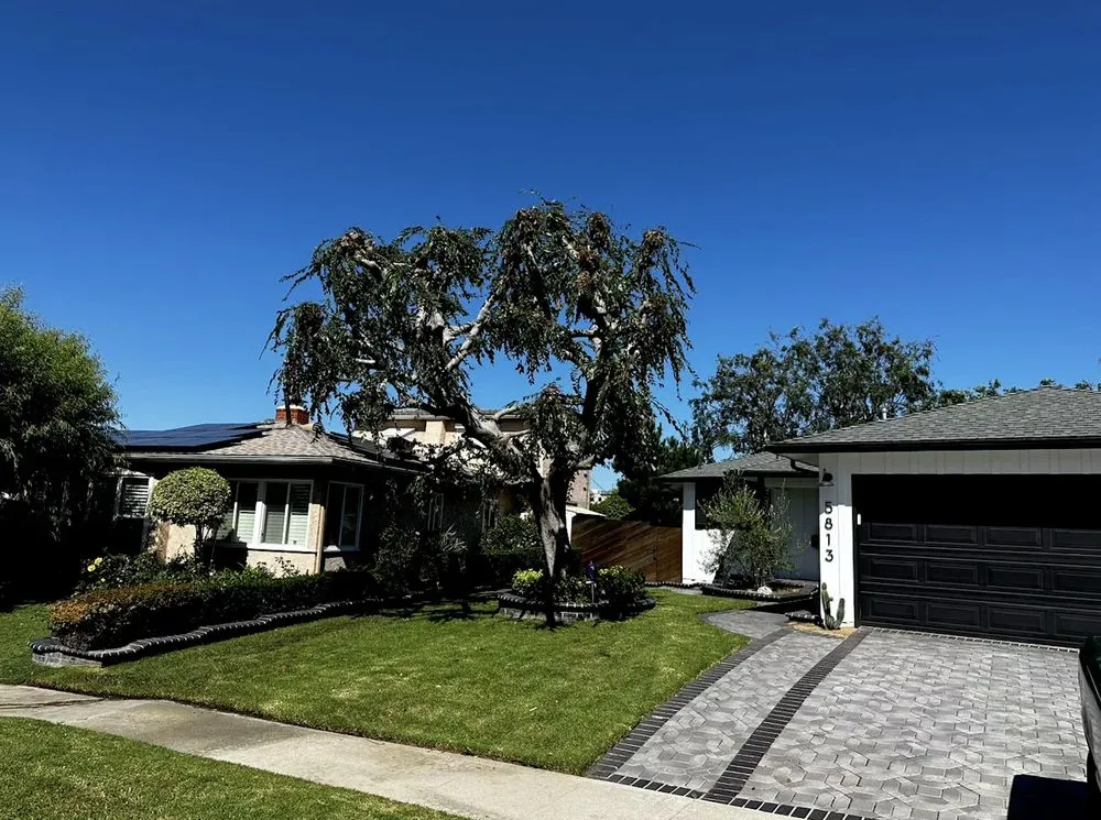 Affordable yard maintenance experts serving Los Angeles, CA - First Point Landscapes