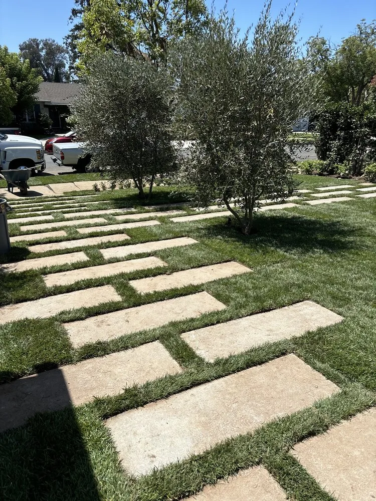 Local garden landscaping with custom design in Los Angeles, CA by First Point Landscapes