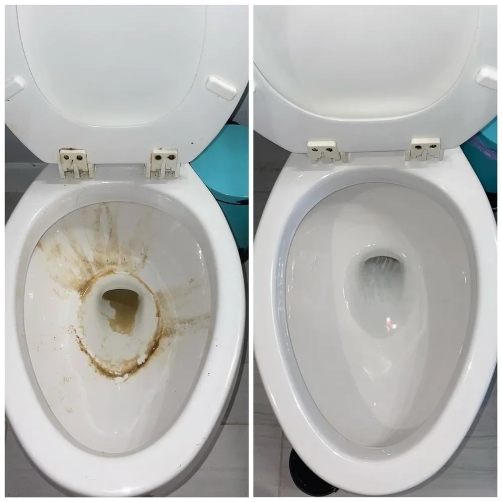 Reliable landscape design for year-round maintenance in Sherman, TX by First Rate Cleaning and Lawn Care