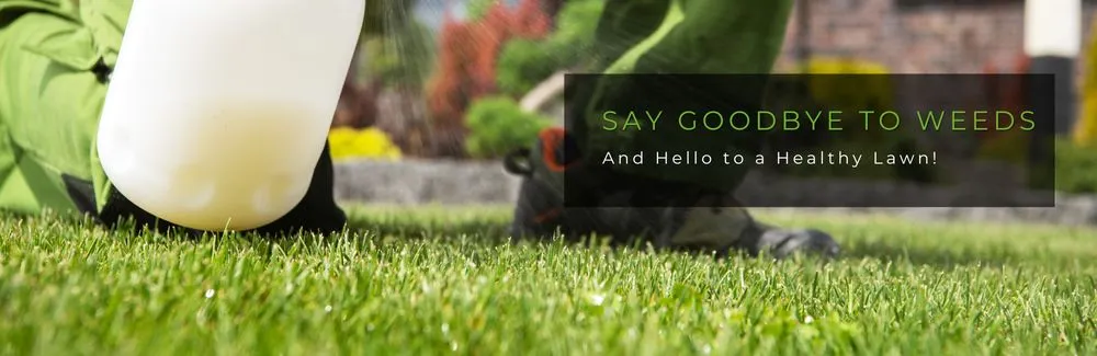 Professional outdoor landscaping experts serving Sherman, TX - First Rate Cleaning and Lawn Care