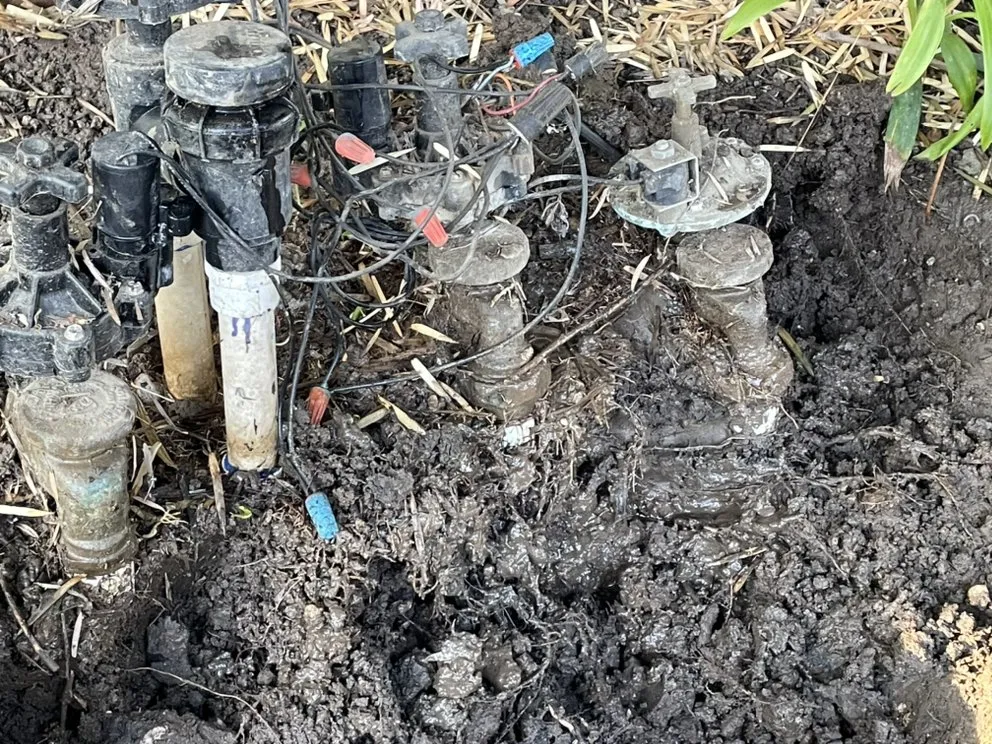 Affordable landscaping services in Los Angeles, CA - First Rate Irrigation