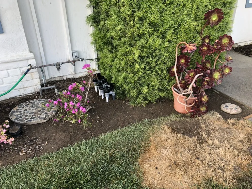 Custom yard cleanup service experts serving Los Angeles, CA - First Rate Irrigation