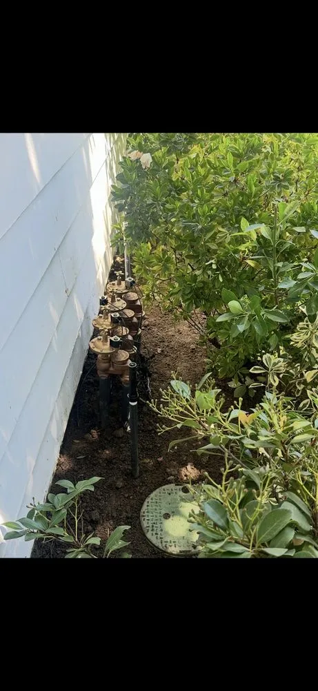 Trusted landscape installation in Los Angeles, CA by First Rate Irrigation