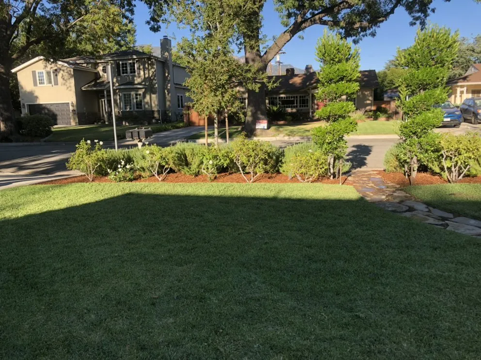 Reliable landscape design in Los Angeles, CA by First Rate Irrigation