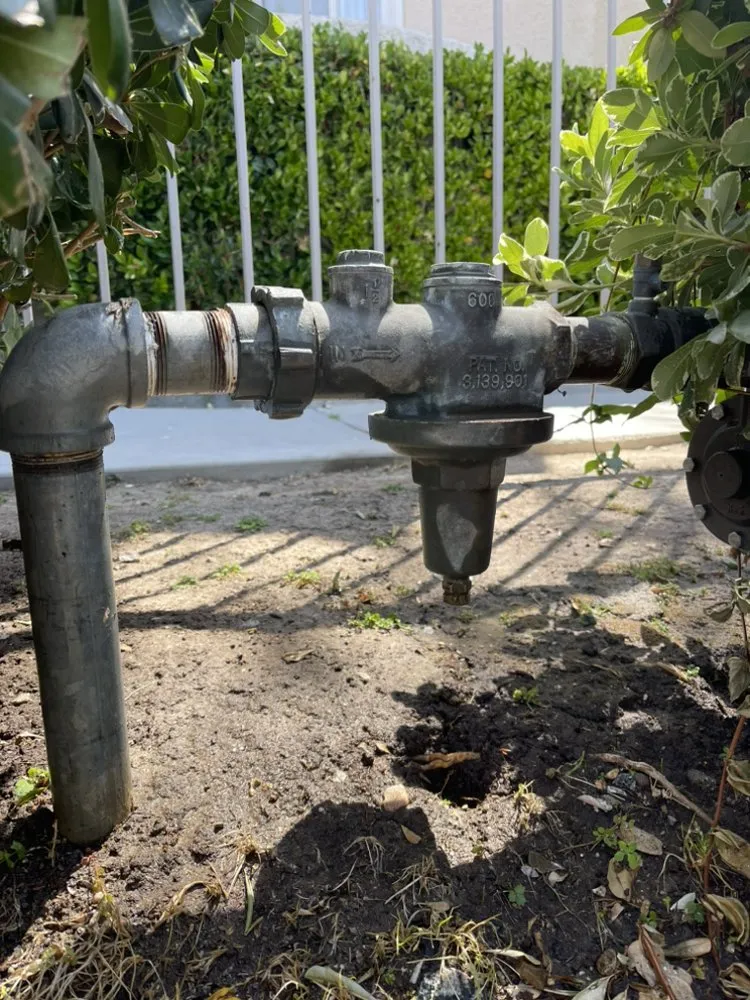 Expert outdoor landscaping for year-round maintenance in Los Angeles, CA by First Rate Irrigation