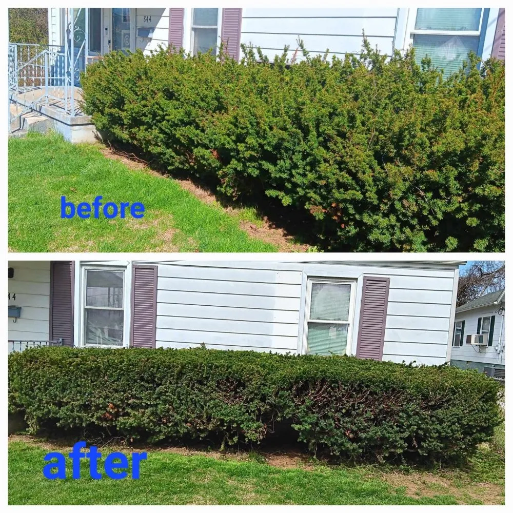 Reliable lawn mowing service experts serving Owenton, KY - First Responders Lawn Care