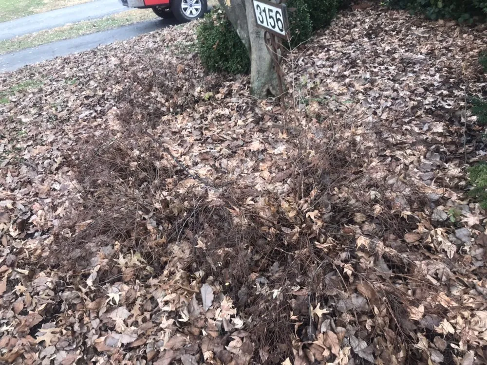 Expert landscaping services experts serving Lexington, KY - First Response Lawn Care