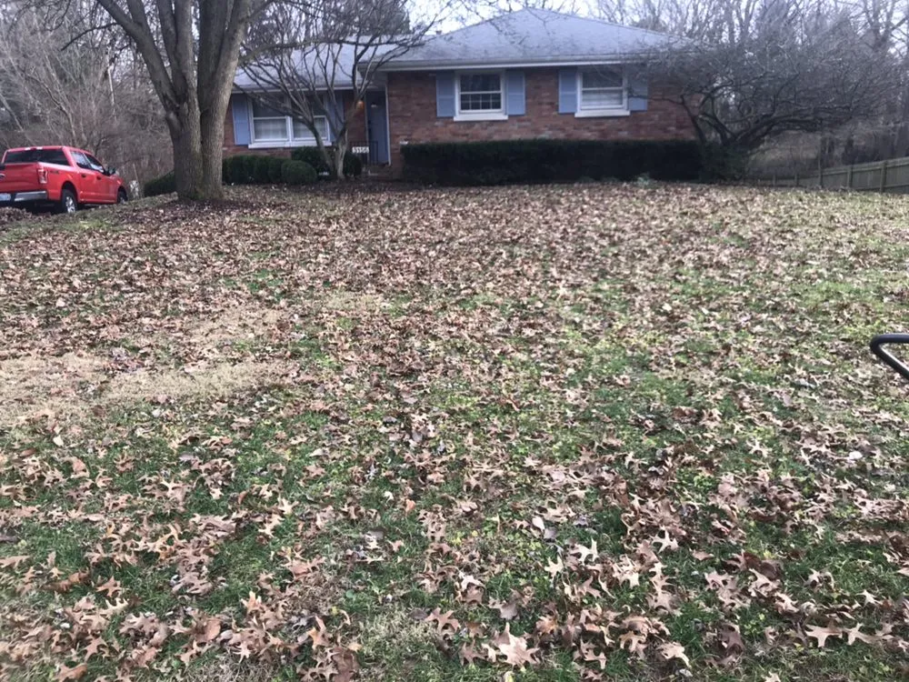 Professional residential landscaping for beautiful yards in Lexington, KY by First Response Lawn Care