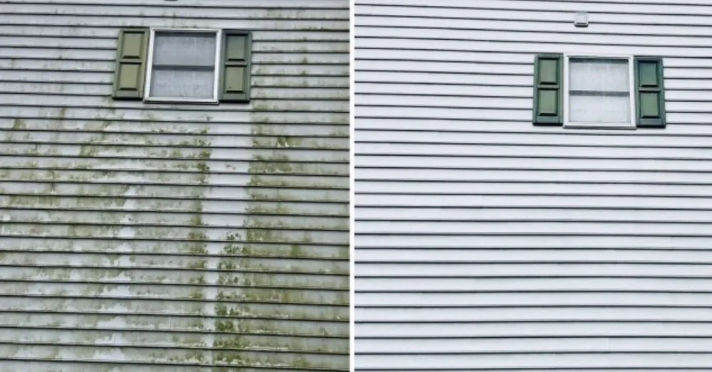 Trusted outdoor landscaping experts serving Pontotoc, MS - First Response Property Services