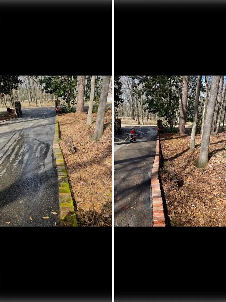 Professional landscape installation in Pontotoc, MS - First Response Property Services