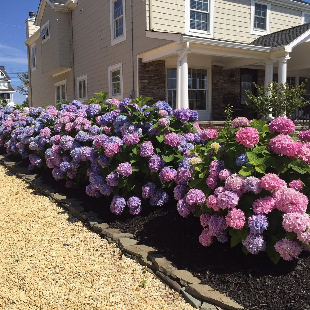 Affordable lawn mowing service in Brick, NJ by First Round Landscaping