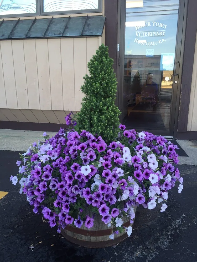 Expert residential landscaping in Brick, NJ by First Round Landscaping