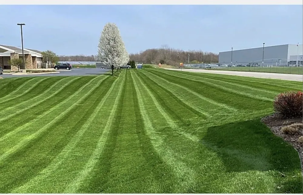 Top-rated lawn mowing service in Goshen, IN - First Service Dan