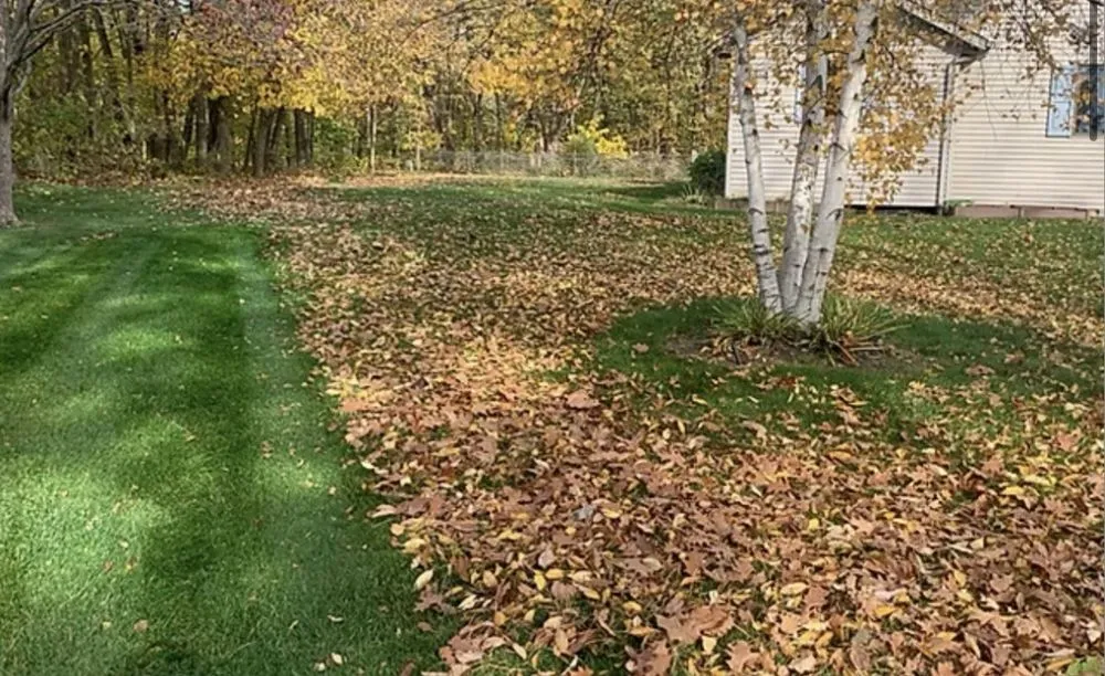 Reliable garden landscaping in Goshen, IN by First Service Dan