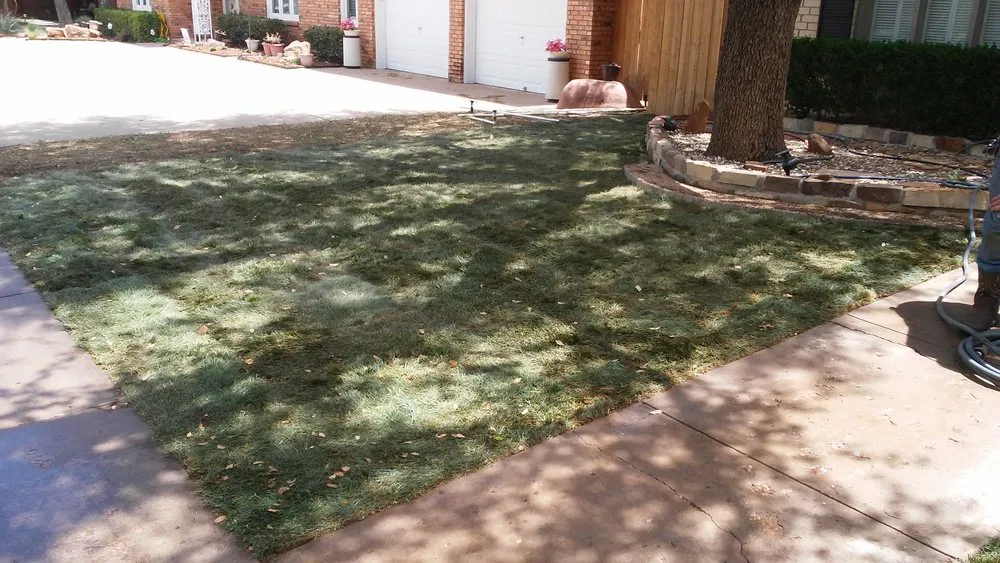 Expert yard maintenance in Lubbock, TX - First Shot Solutions