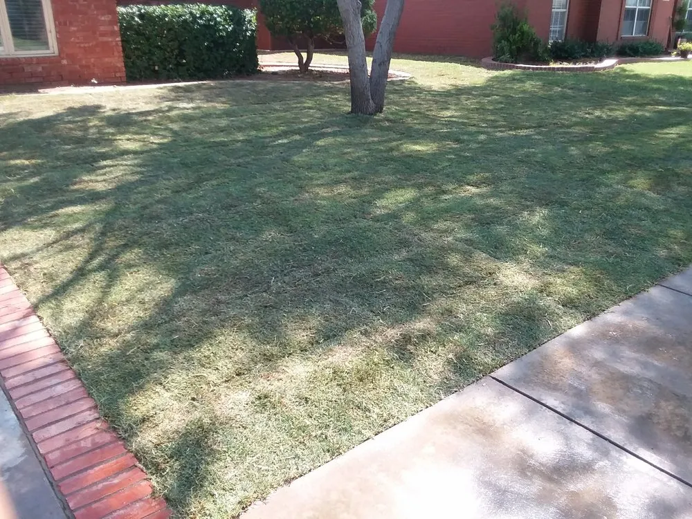 Affordable yard maintenance with custom design across Lubbock, TX - First Shot Solutions