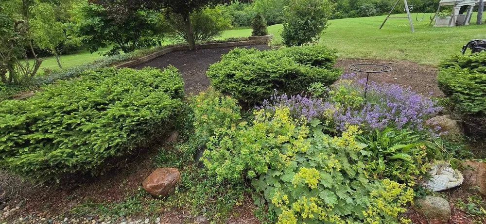 Top-rated landscape installation for beautiful yards across Owosso, MI - First Sprout Landscaping