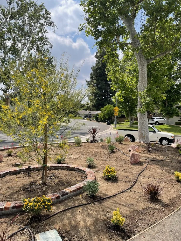 Custom yard cleanup service for beautiful yards in San Fernando Valley, CA by First Valley Landscape