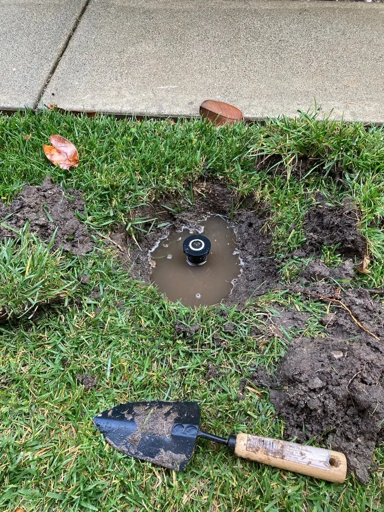 Affordable yard cleanup service experts serving San Fernando Valley, CA - First Valley Landscape