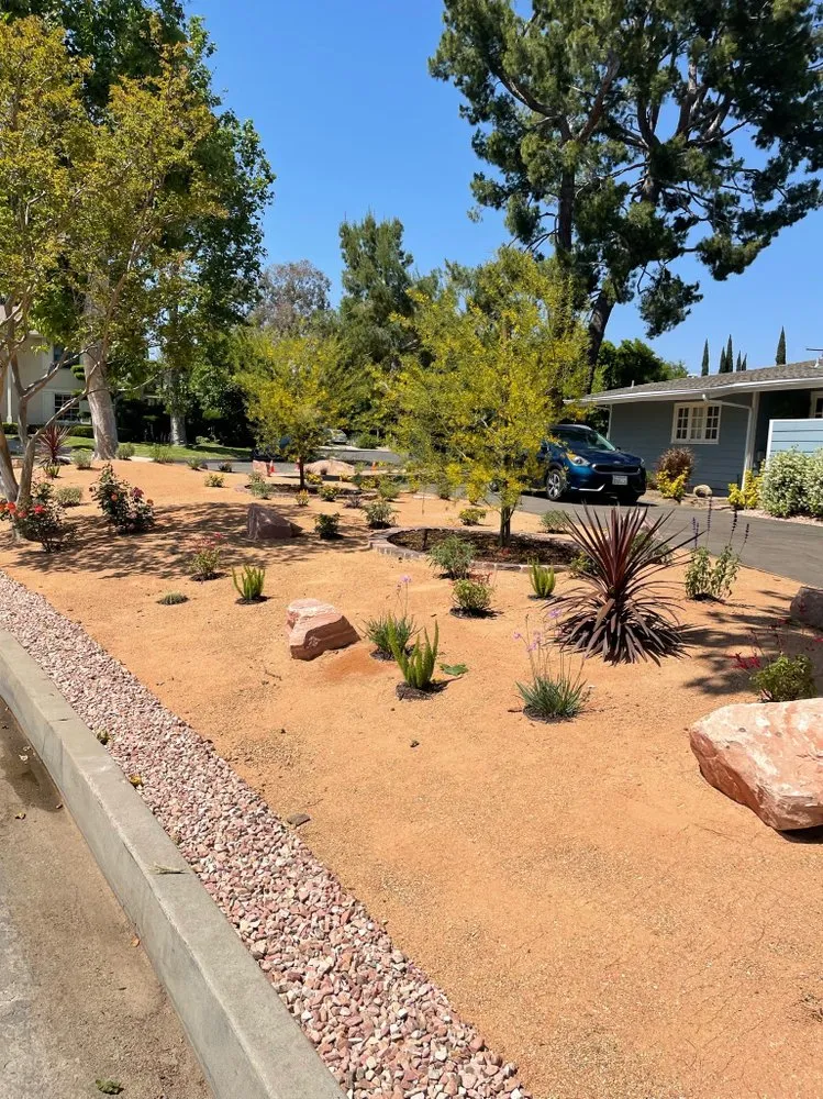 Trusted yard cleanup service in San Fernando Valley, CA by First Valley Landscape