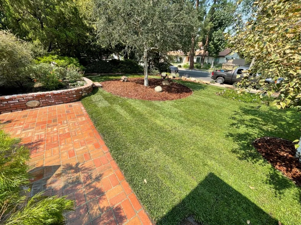 Affordable yard maintenance in San Fernando Valley, CA - First Valley Landscape