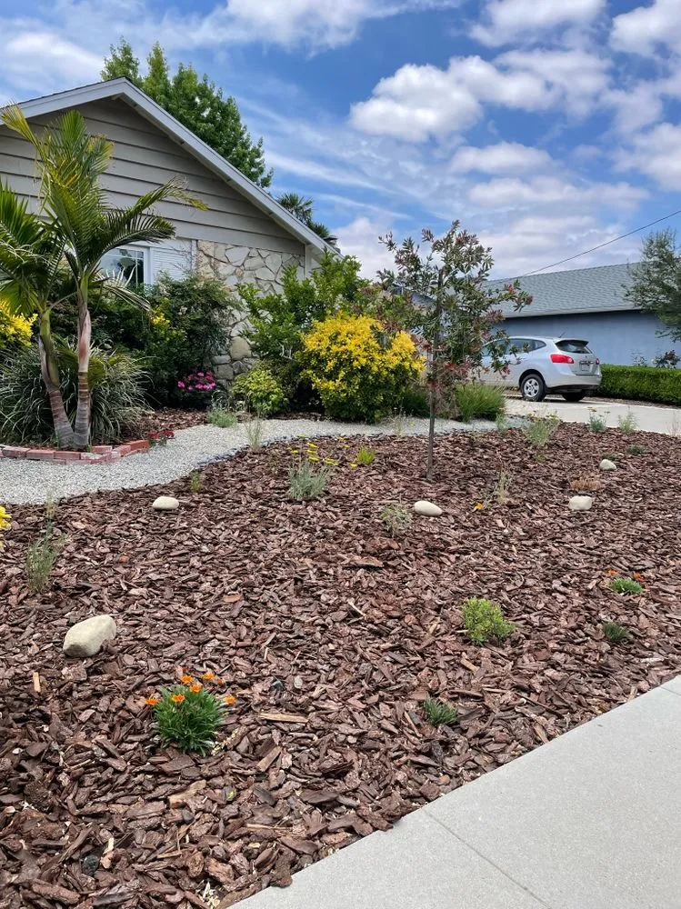 Affordable landscape design in San Fernando Valley, CA - First Valley Landscape