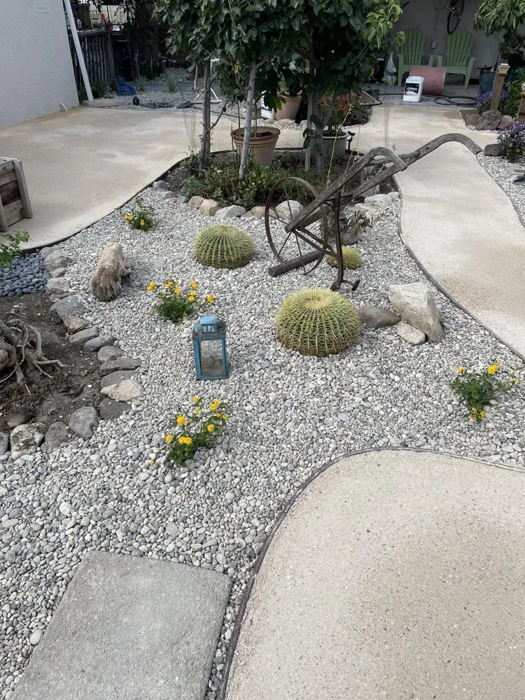Professional yard maintenance in San Fernando Valley, CA - First Valley Landscape
