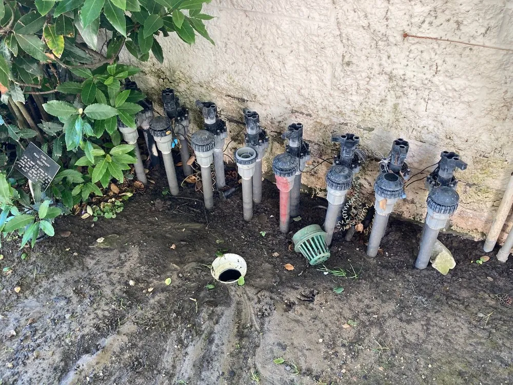 Local outdoor landscaping experts serving San Fernando Valley, CA - First Valley Landscape