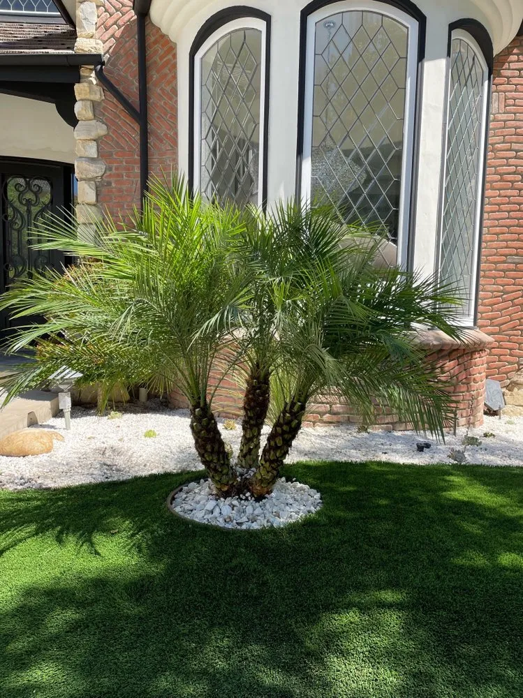 Affordable landscape installation with custom design across San Fernando Valley, CA - First Valley Landscape
