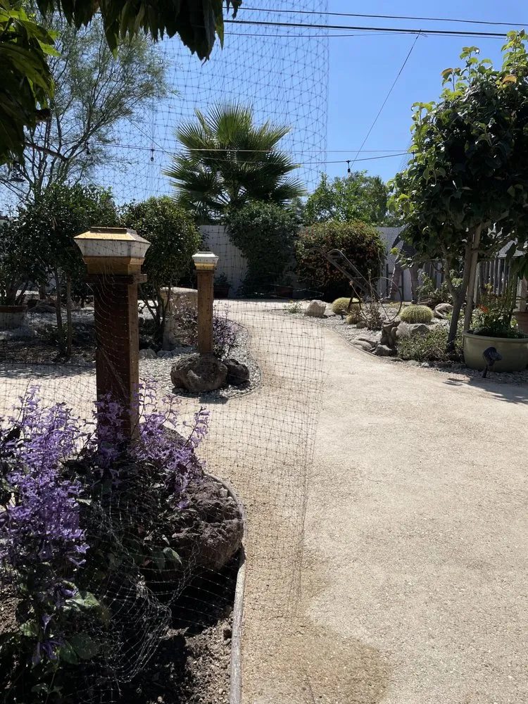 Expert lawn mowing service for residential properties in San Fernando Valley, CA by First Valley Landscape