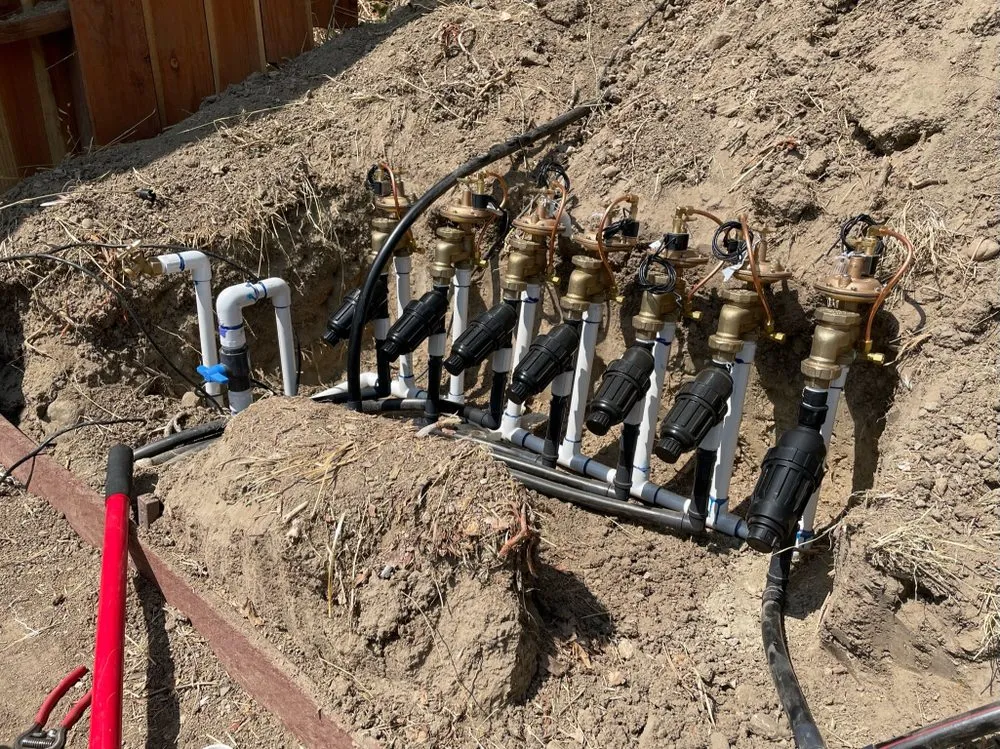 Affordable garden landscaping for homes across San Fernando Valley, CA - First Valley Landscape