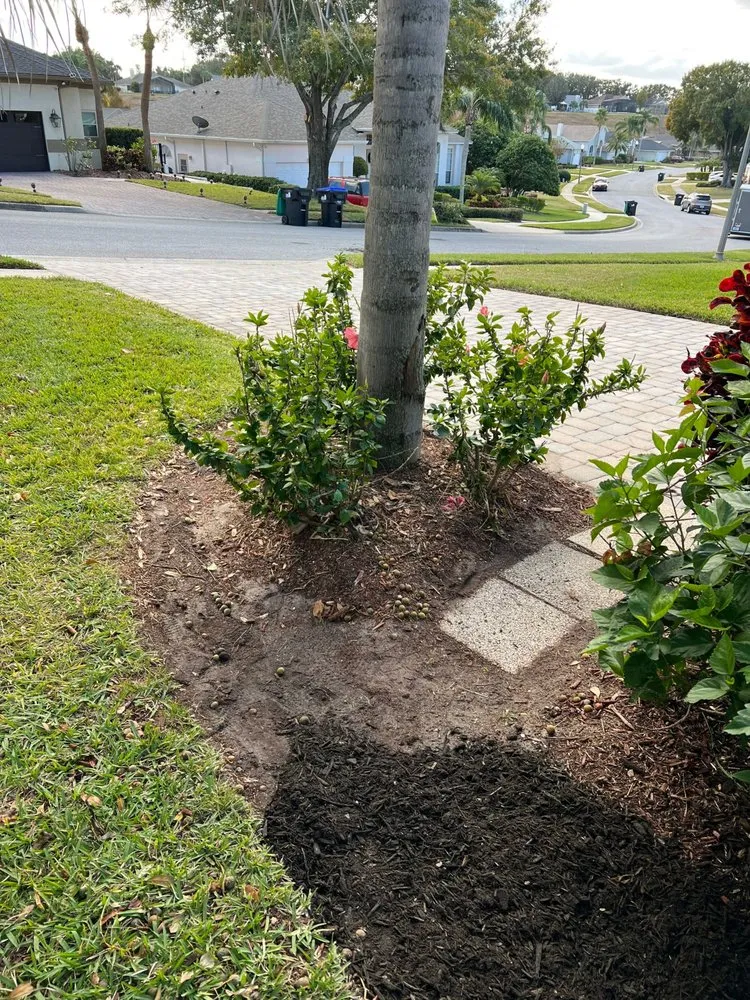 Expert residential landscaping near you across Orlando, FL - Firsthand Lawn and Landscape