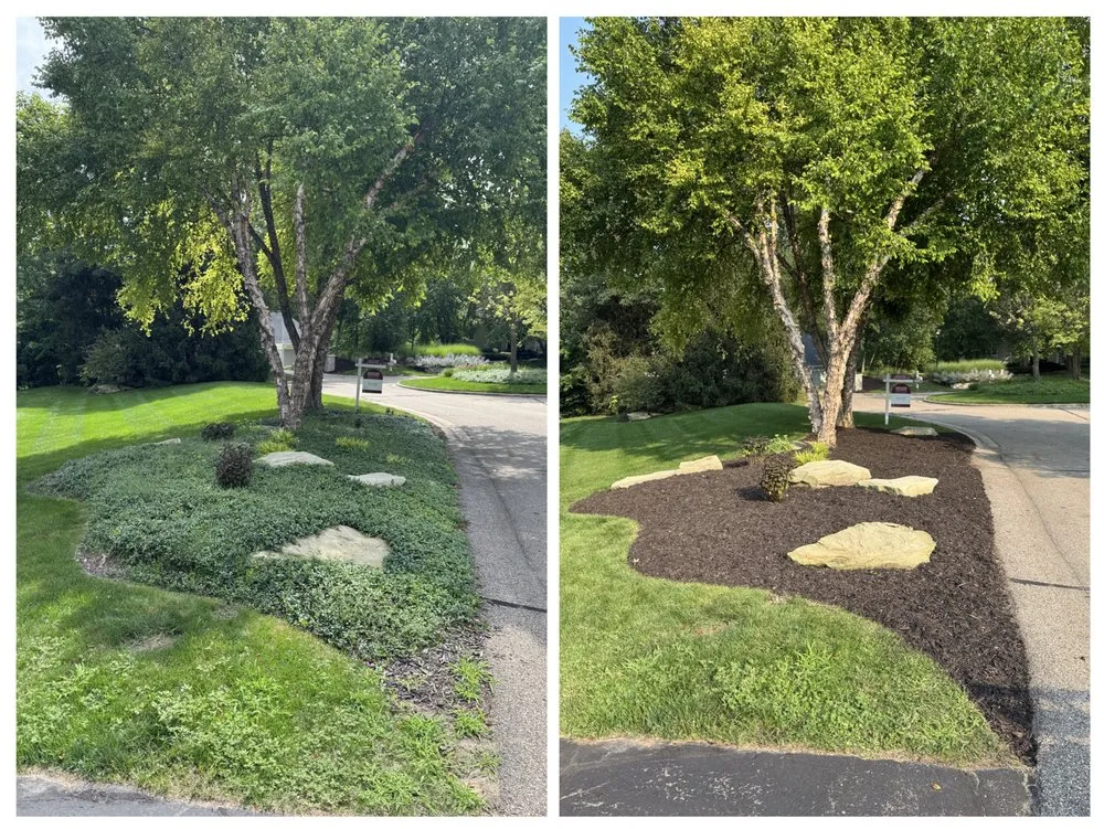 Local yard cleanup service experts serving Grand Rapids, MI - Firstlight Service