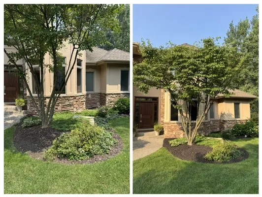 Firstlight Service Logo