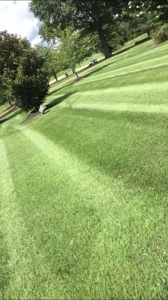Top-rated landscape installation in Mt. Juliet, TN - FirstPlace Landscaping