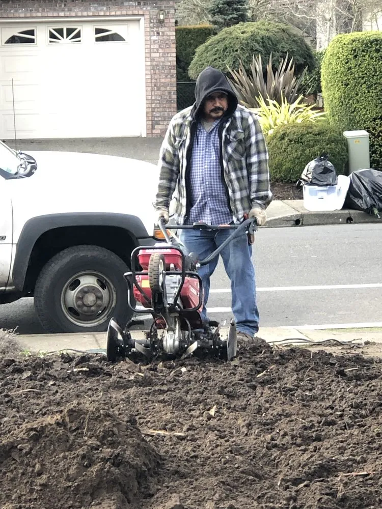 Top-rated yard maintenance in Salem, OR by Firstview Landscape And Home Solutions