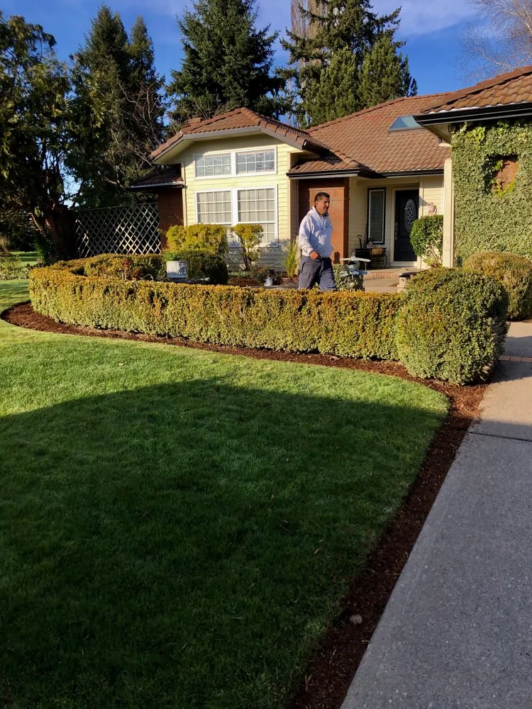 Top-rated yard maintenance in Salem, OR by Firstview Landscape And Home Solutions