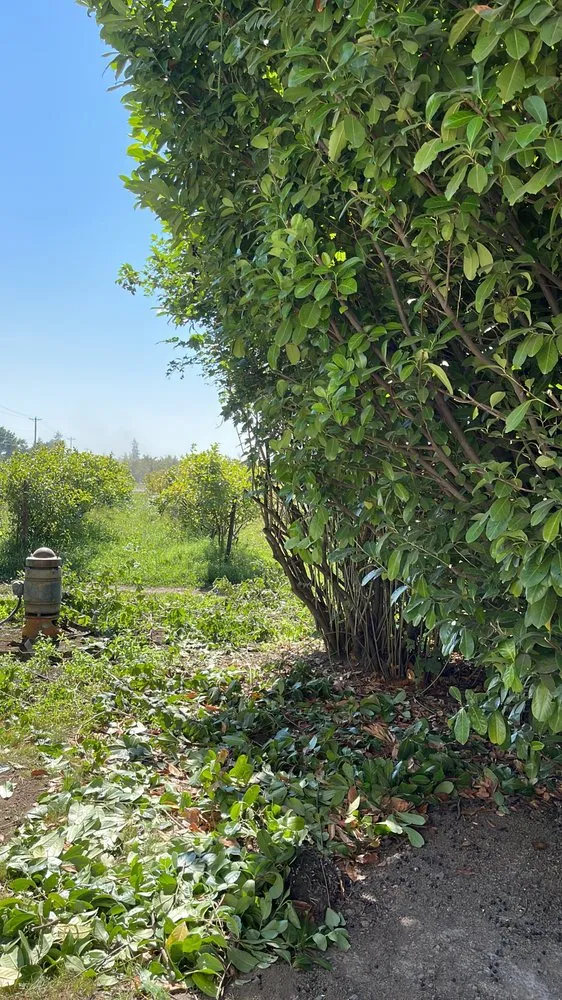 Reliable outdoor landscaping for beautiful yards in Salem, OR by Firstview Landscape And Home Solutions