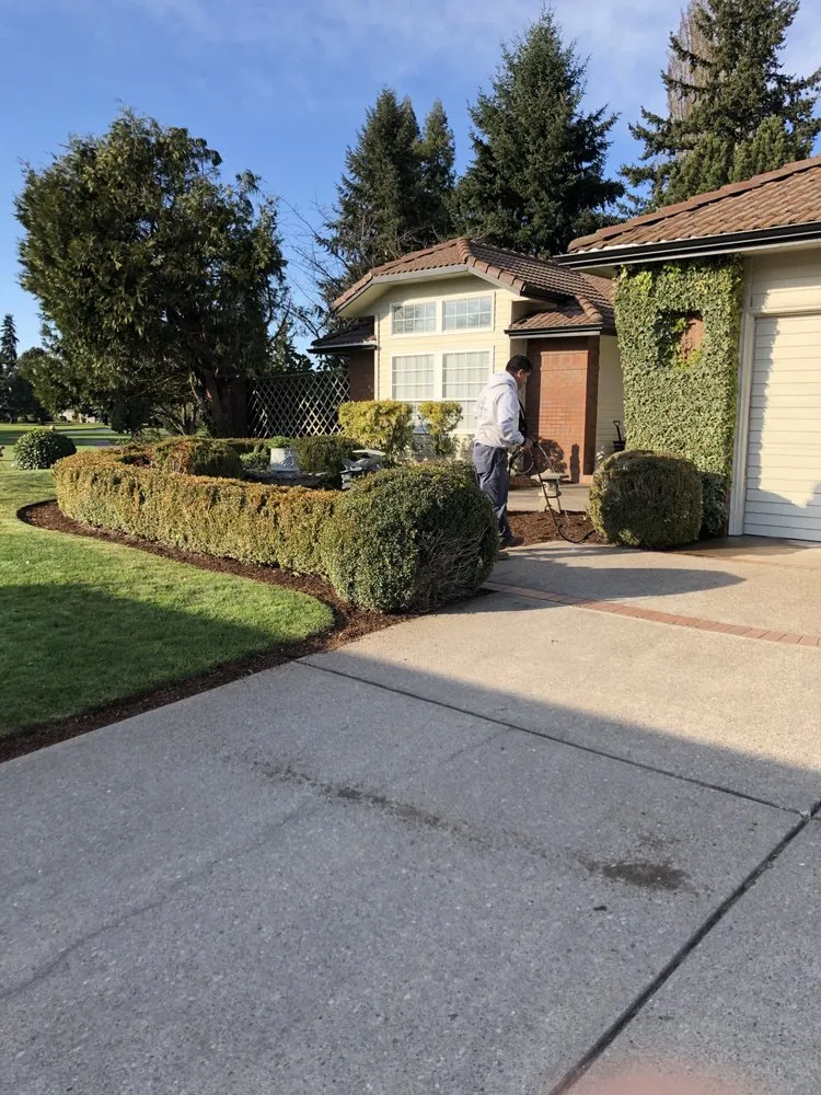 Reliable yard cleanup service for year-round maintenance in Salem, OR by Firstview Landscape And Home Solutions
