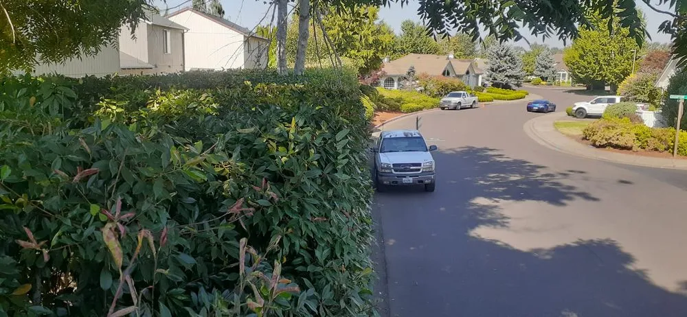 Expert landscape installation for outdoor upgrades across Salem, OR - Firstview Landscape And Home Solutions