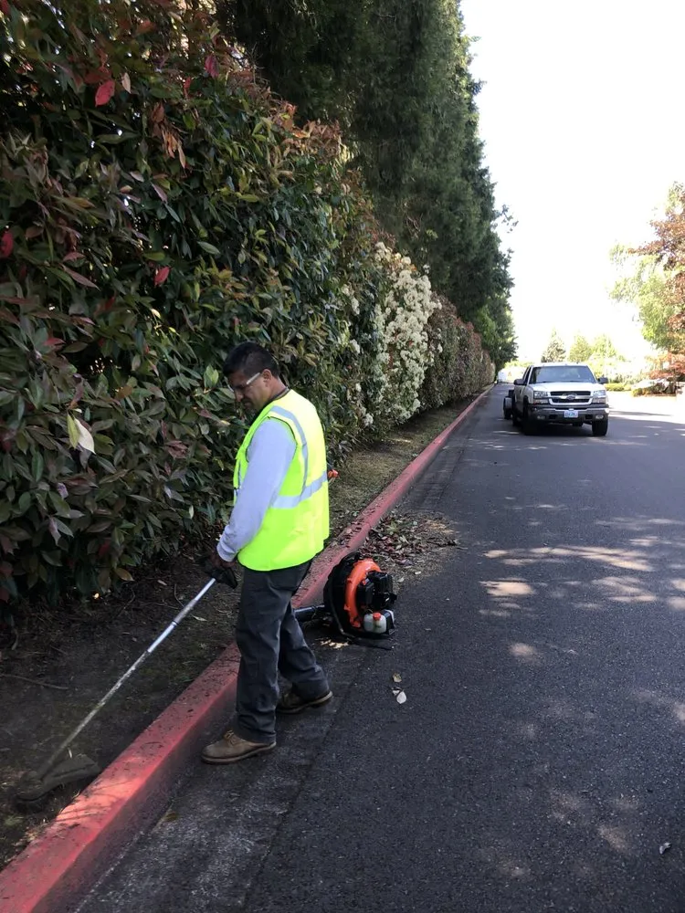 Reliable lawn care service for outdoor upgrades across Salem, OR - Firstview Landscape And Home Solutions