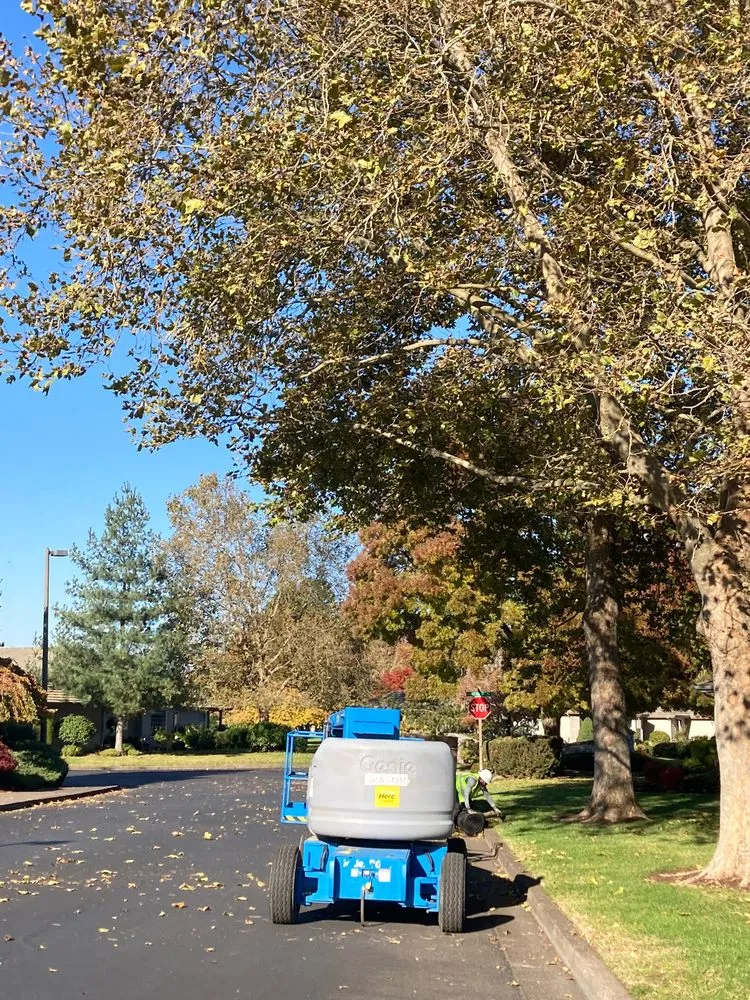 Local outdoor landscaping near you across Salem, OR - Firstview Landscape And Home Solutions