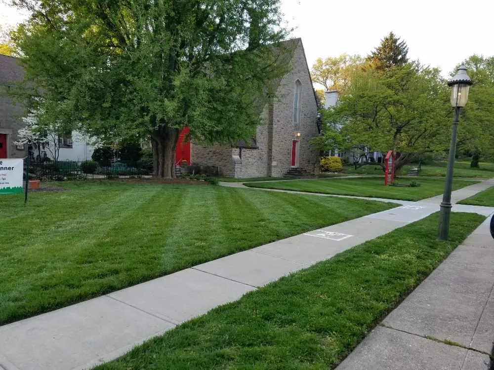 Reliable landscaping services near you in Cincinnati, OH by Fischer Landscape and Tree Service