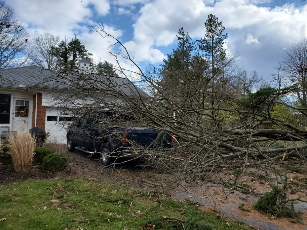 Custom landscape design for outdoor upgrades across Cincinnati, OH - Fischer Landscape and Tree Service