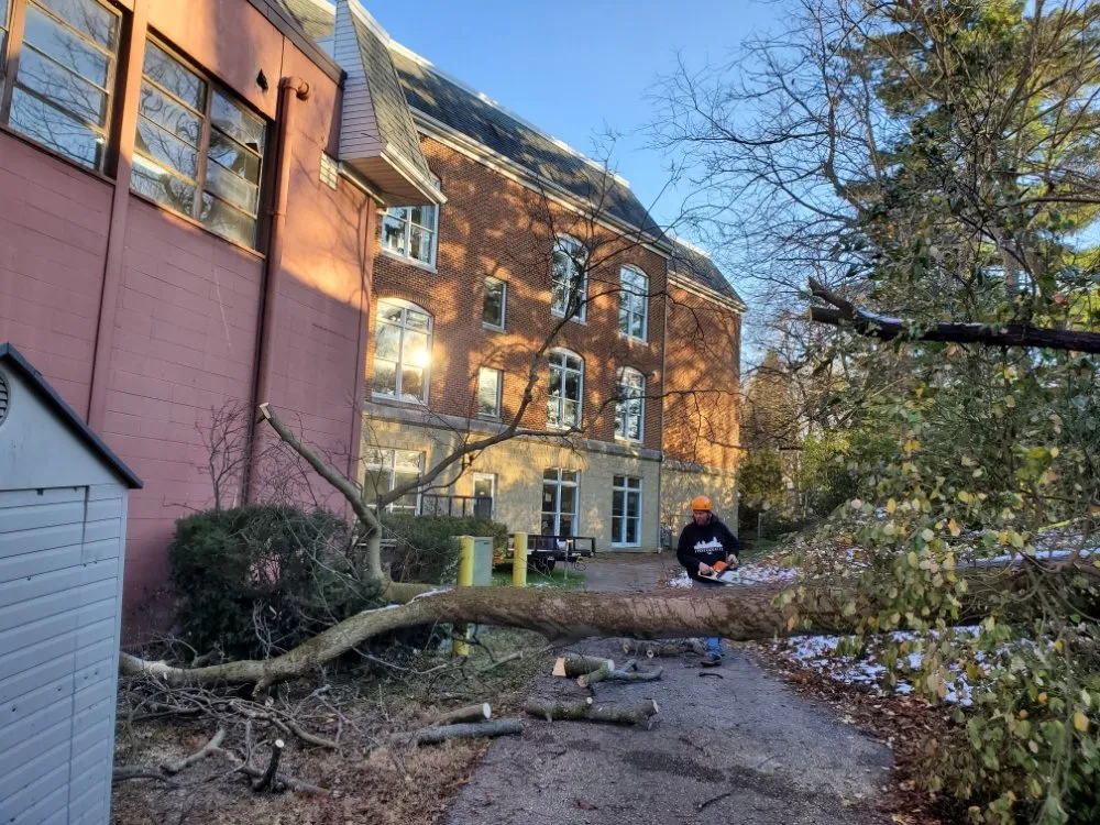 Reliable outdoor landscaping for homes across Cincinnati, OH - Fischer Landscape and Tree Service