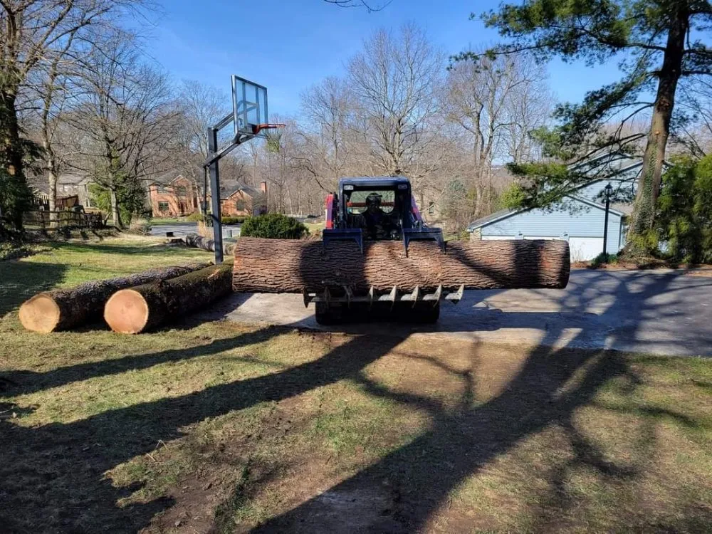 Trusted residential landscaping in Cincinnati, OH by Fischer Landscape and Tree Service