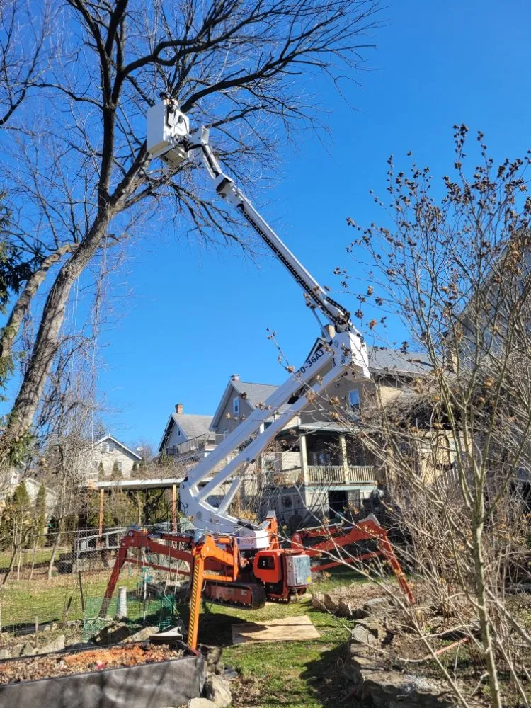 Trusted landscape installation experts serving Cincinnati, OH - Fischer Landscape and Tree Service