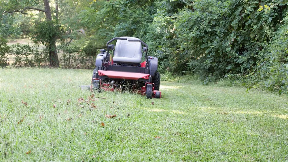 Reliable yard maintenance for beautiful yards across Lehighton, PA - Fischer’s Lawn Care