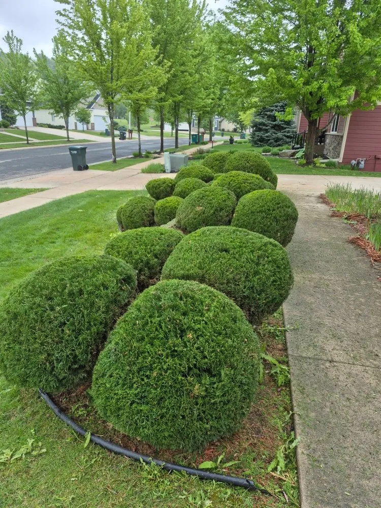 Expert landscaping services for homes in Rochester, MN by Fischers Outdoor Services