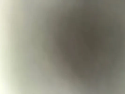 Fish and Hunt Handy Services Logo